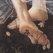 Sandro Botticelli Details of Primavera (mk36) Spain oil painting artist